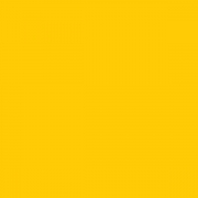 Fly Yellow